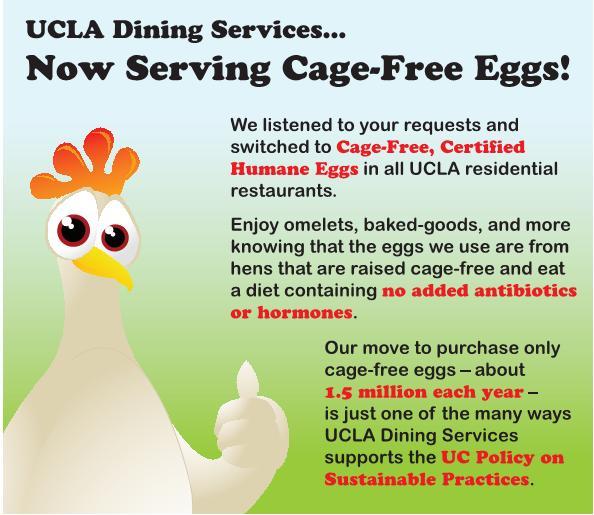 cage-free-eggs-ucla-sustainability